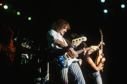 Krokus Fine Art Print