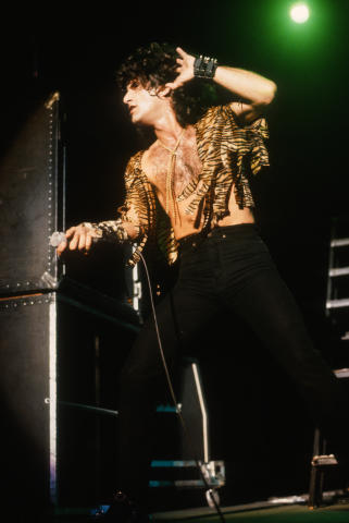 Krokus Fine Art Print