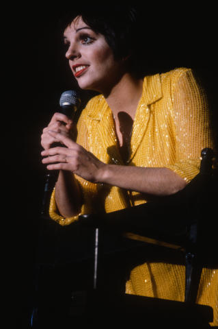 Liza Minelli Fine Art Print