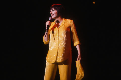 Liza Minelli Fine Art Print