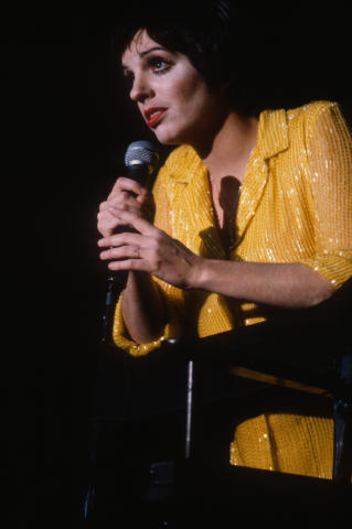 Liza Minelli Fine Art Print