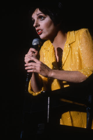 Liza Minelli Fine Art Print