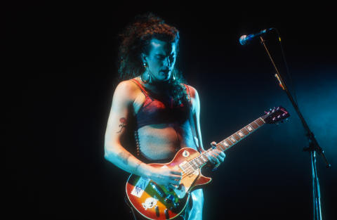 Meat Puppets Fine Art Print