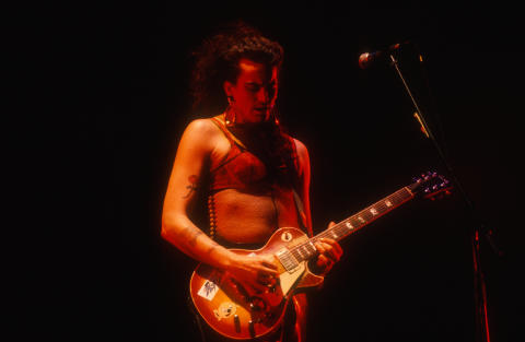 Meat Puppets Fine Art Print