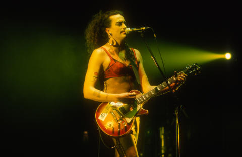 Meat Puppets Fine Art Print