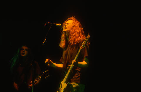 Meat Puppets Fine Art Print