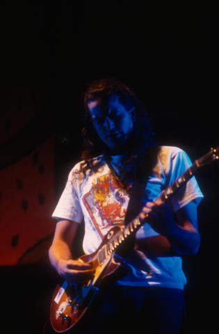 Meat Puppets Fine Art Print