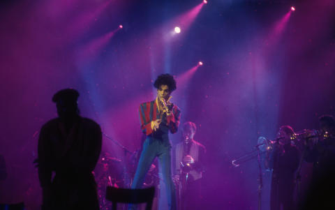 Prince Fine Art Print