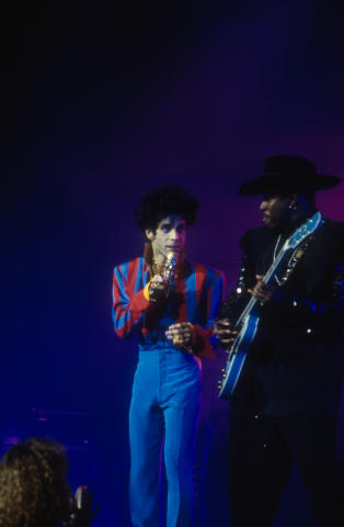 Prince Fine Art Print