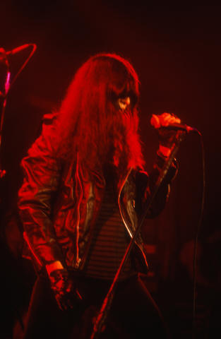 Ramones Fine Art Print