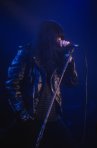 Ramones Fine Art Print