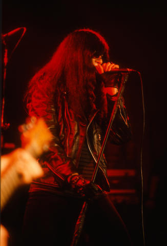 Ramones Fine Art Print