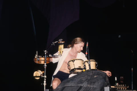 Stone Temple Pilots Fine Art Print