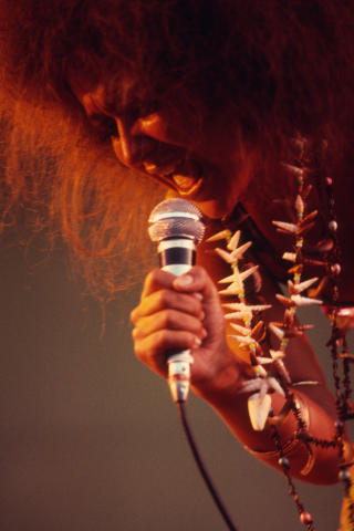 The Savage Rose Fine Art Print