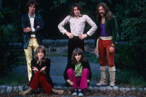 Savoy Brown Fine Art Print