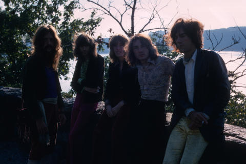 Savoy Brown Fine Art Print