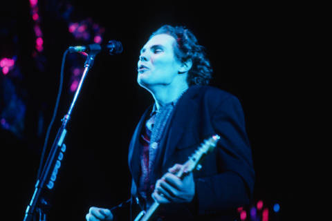 The Smashing Pumpkins Fine Art Print