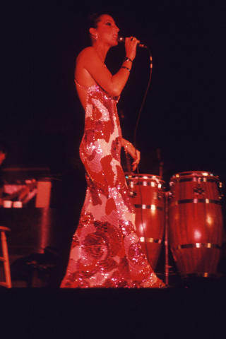 Sonny & Cher Fine Art Print