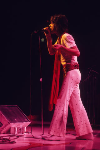 The Rolling Stones Fine Art Print