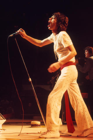 The Rolling Stones Fine Art Print