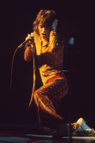 The Rolling Stones Fine Art Print