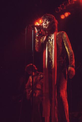 The Rolling Stones Fine Art Print