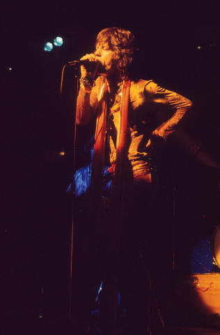 The Rolling Stones Fine Art Print