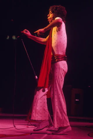 The Rolling Stones Fine Art Print