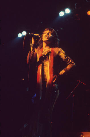 The Rolling Stones Fine Art Print