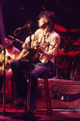 The Rolling Stones Fine Art Print