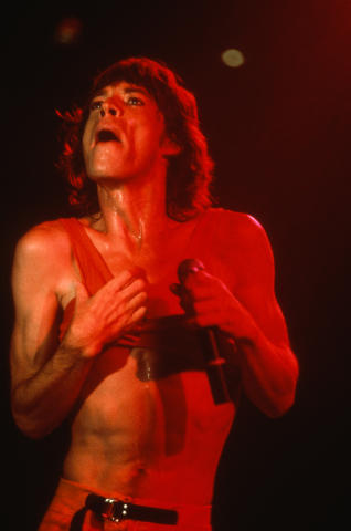 The Rolling Stones Fine Art Print