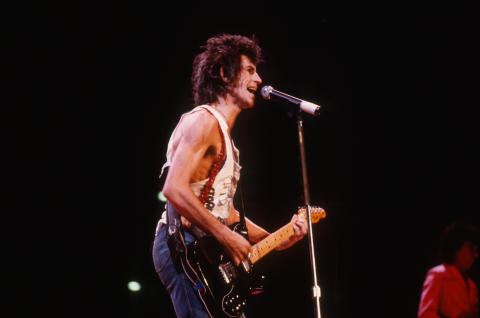 The Rolling Stones Fine Art Print