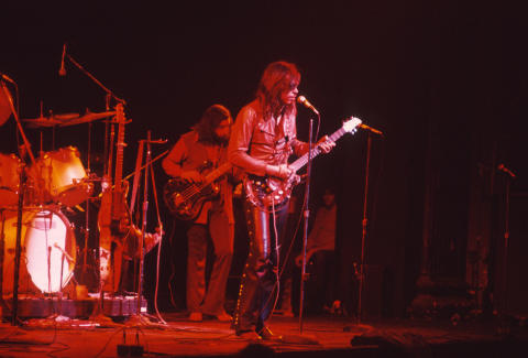 Steppenwolf Fine Art Print