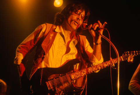 Steppenwolf Fine Art Print