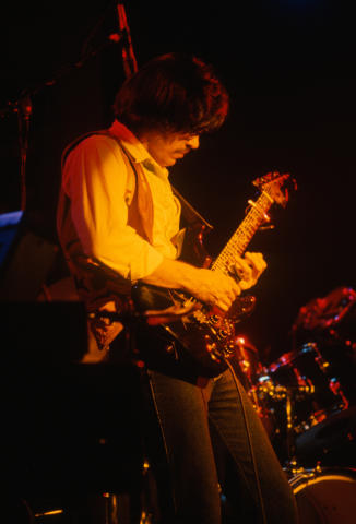 Steppenwolf Fine Art Print