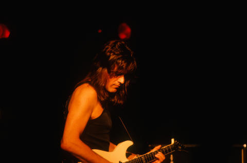 Steppenwolf Fine Art Print