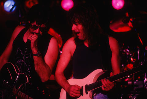 Steppenwolf Fine Art Print