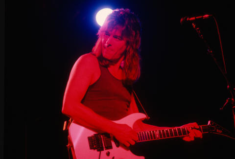 Steppenwolf Fine Art Print