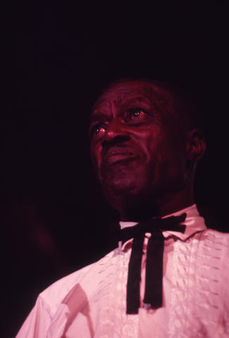 Sun House Fine Art Print