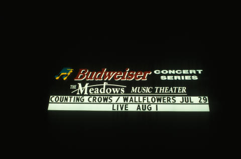 The Wallflowers Fine Art Print