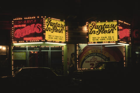 Scenery Fine Art Print