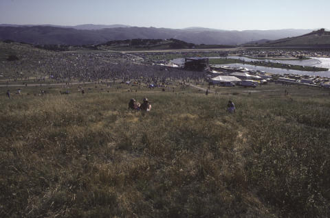 Grateful Dead Fine Art Print