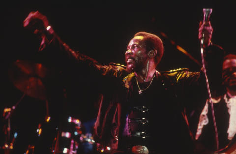 Reggae Fest Fine Art Print