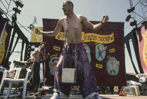 Lollapalooza Fine Art Print