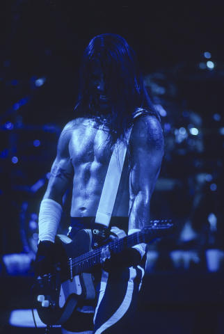 Lollapalooza Fine Art Print