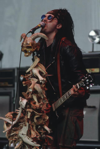 Lollapalooza Fine Art Print