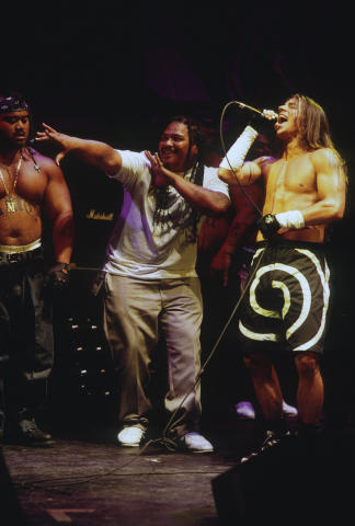 Lollapalooza Fine Art Print