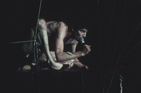 Gathering of the Tribes Fine Art Print