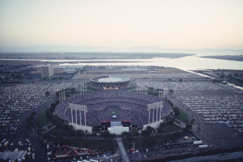 Day On The Green Fine Art Print