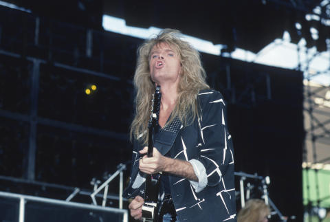 Day On The Green Fine Art Print